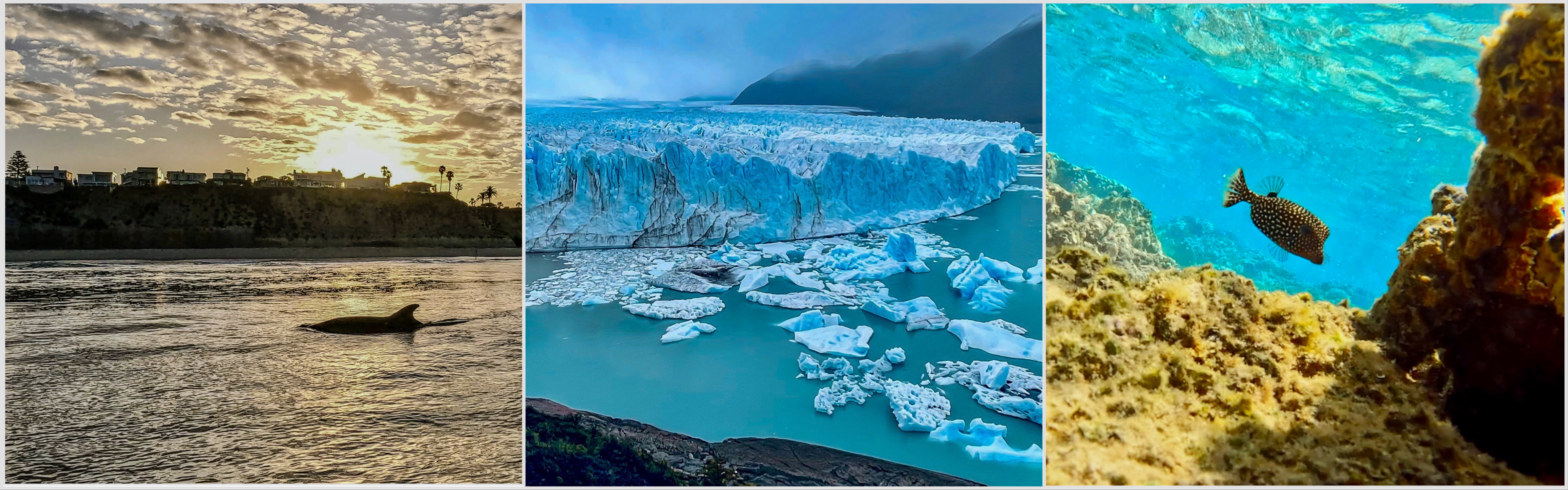 header for ethics minor